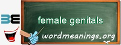 WordMeaning blackboard for female genitals